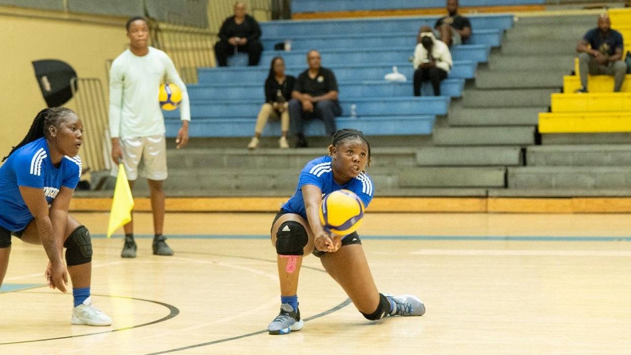 Mingoes not enough in loss to Warhawks
