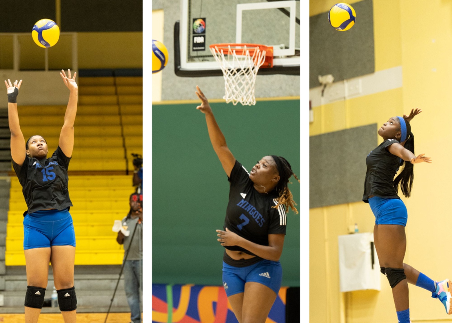 Mingoes trio selected to volleyball national team