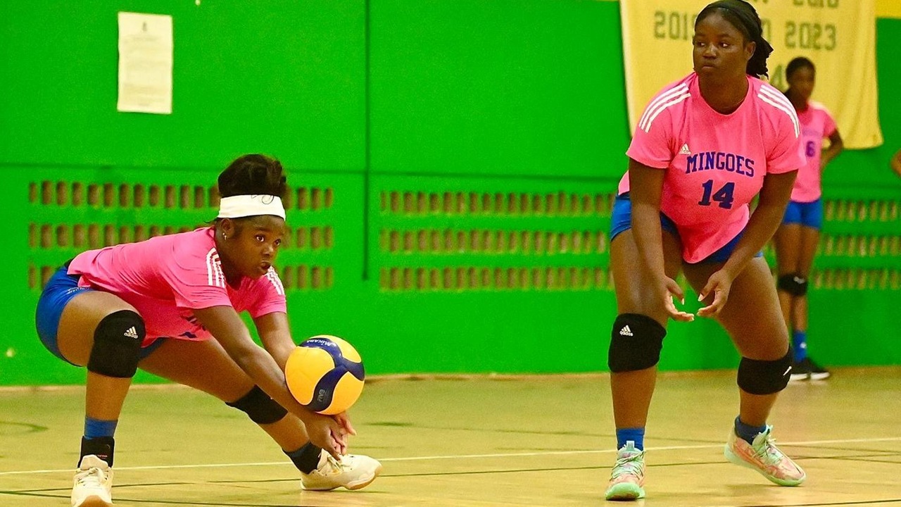 Mingoes defeat Lady Technicians
