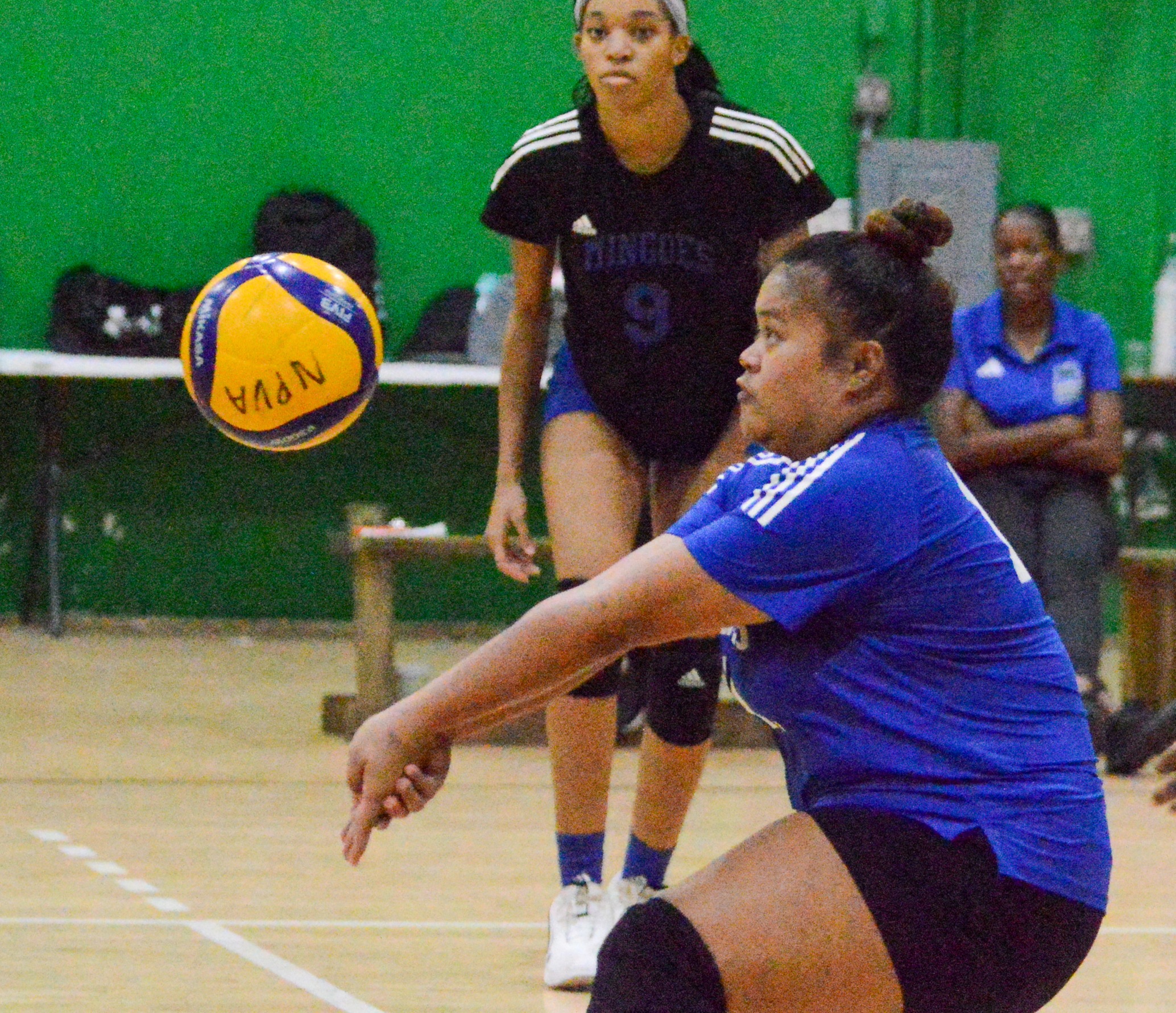 The University of The Bahamas Mingoes libero Alyzza Arbatin bumps the ball against Setsy Poppers on Friday, January 9 at the D.W. Davis Gymnasium. UB won 3-0. UB Athletics.