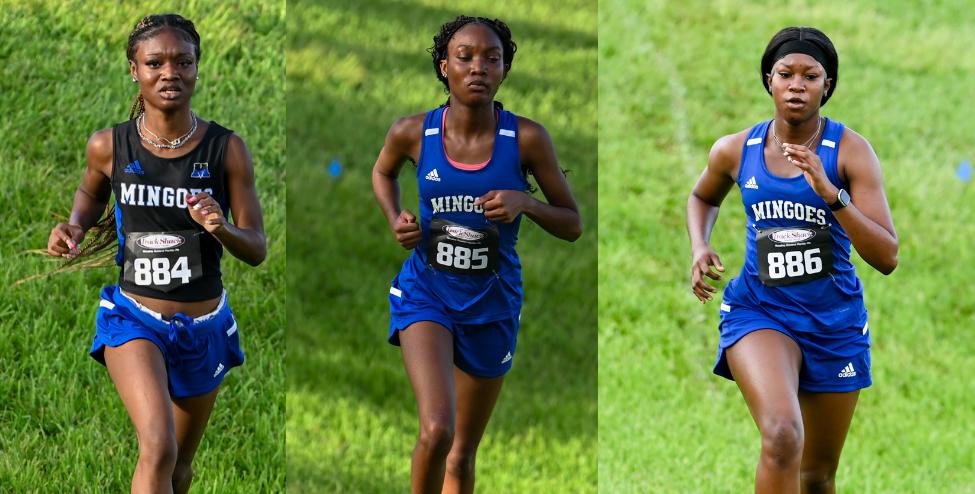 UB competes at Embry-Riddle Classic